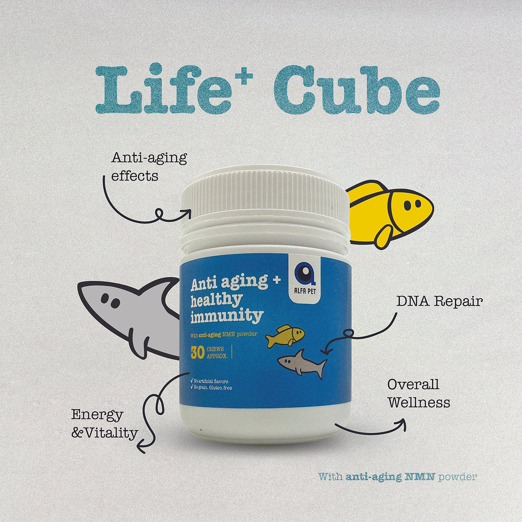 ALFAPET CATS Life+ NMN Fish Cubes